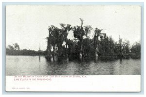 Early Mouth of Trout Run North of Eustis FL Lake Eustis in Foreground Postcard