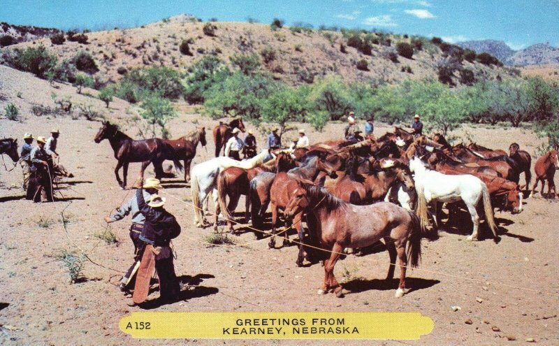 Vintage Postcard Group of Horses Cowboys Mountain Kearney Nebraska Greetings 