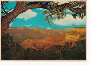 Arizona Grand Canyon From South Rim 1984