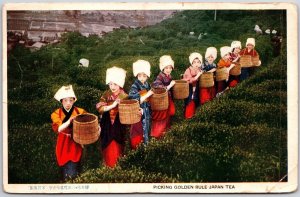 1920's Picking Golden Rule Japan Tea Slope of the Mountains Posted Postcard