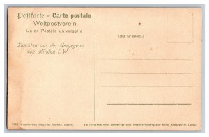 Postcard Germany Trachten Aus Der Umgegend Von Minden I. W. Costumes 