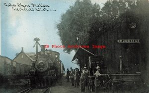 MI, Litchfield, Michigan, Lake Shore Railroad Station, CU Williams No 5121