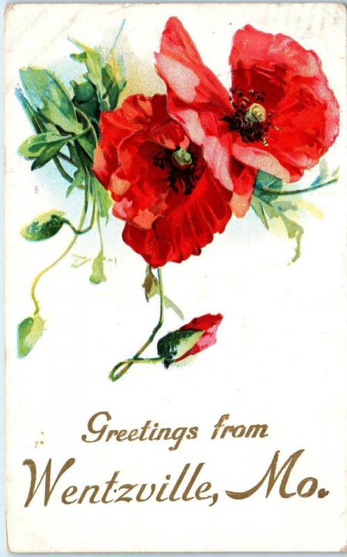 WENTZVILLE, MO Missouri   GREETINGS FROM with FLOWERS  c1910s   Postcard