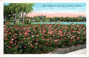Postcard FL Orlando - Rose Garden on Lake Eola