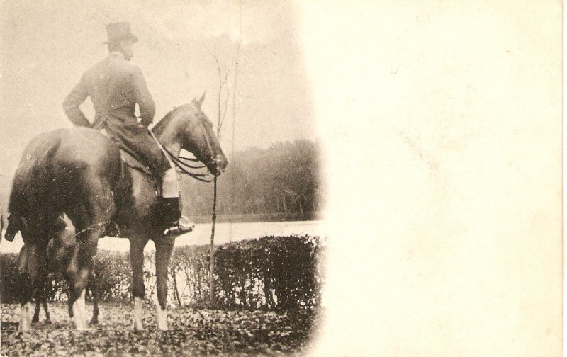 Horseman on his horse Old vintage French postcard