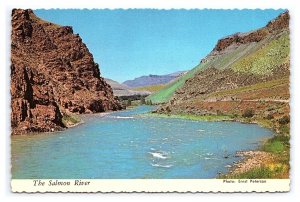 The Salmon River Idaho Postcard Continental Scenic View Card