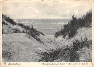 BR41087 Blankenberge ouverture dans les dunes    Belgium