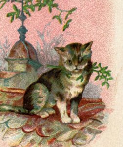 1880s Lion Coffee Woolson Spice Co. Mocha Java Cat & Mistletoe P160 