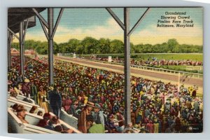 Baltimore MD-Maryland, Pimlico Race Course Horse Track Grandstand Linen Postcard