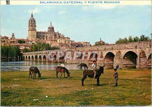 Modern Postcard Catedral Salamanca y Puente Romano Donkey Donkey