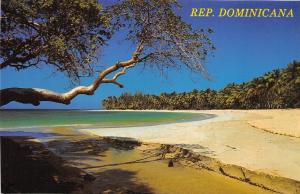 BG14337 dominican republic las terrenas  caribbean islands