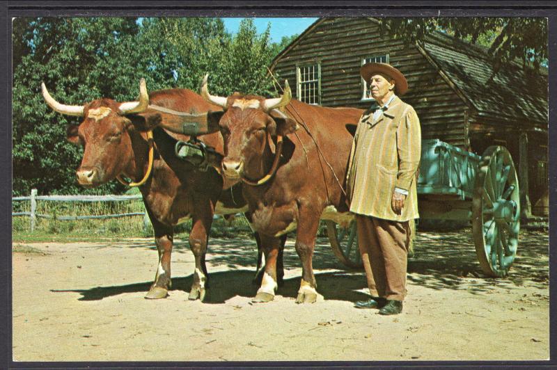 Ox Cart,Oxen,Old Sturbridge Village,Sturbridge,MA