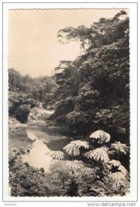 RP  A.E.F.-Paysage du Mayombe (parcours du Chemin de fer Congo-Ocean), 20-40s