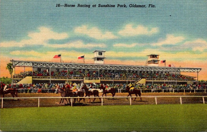 Florida Oldsmar Horse Racing At Sunshine Park Curteich