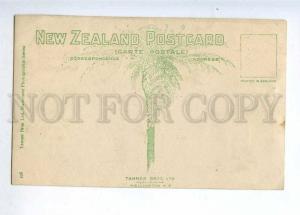 232887 NEW ZEALAND Maori woman Vintage photo RPPC