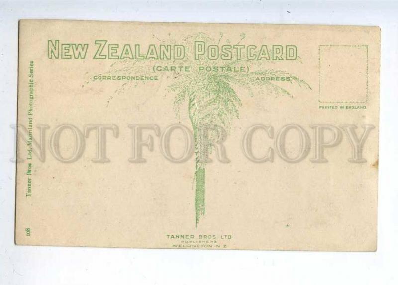 232887 NEW ZEALAND Maori woman Vintage photo RPPC