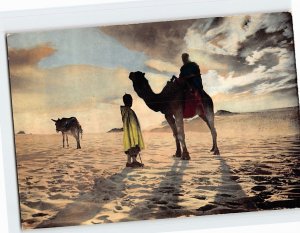 Postcard Sud Algerien Crépuscule au Sahara Algeria