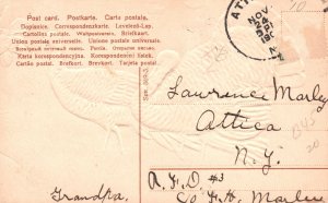 Vintage Postcard A Joyful Thanksgiving Two Turkeys In The Countryside Greetings