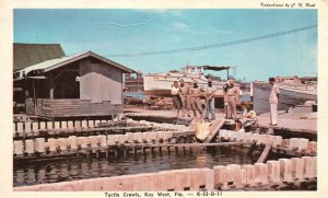 Turtle Crawls KEY WEST Florida FL Harbor Boats Along Water Vintage Postcard