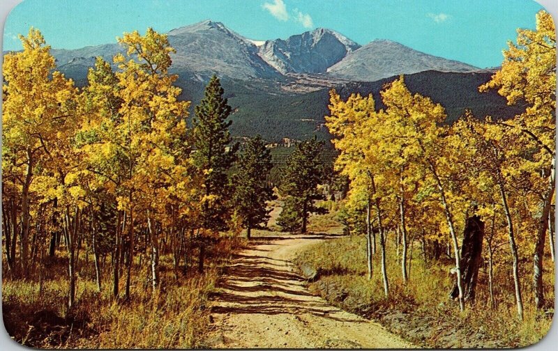 Longs Peak Estes Park CO Colorado Fall Scene Autumn Yellow Mountains Postcard 