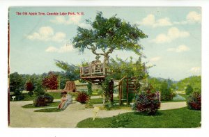 NH - Salem. Canobie Lake Park, The Old Apple Tree