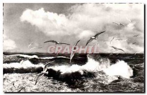 Old Postcard Deauville Trouville Flight of sea gulls