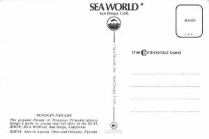 Sea World, California - Penguinn Parade