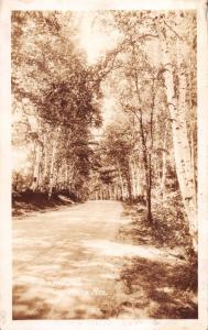 WHITE MOUNTAINS NEW HAMPSHIRE BIRCH ROAD~BROMLEY REAL PHOTO POSTCARD 1930s