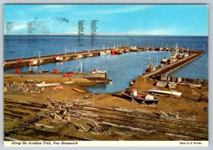 Fishing Fleet Wharf, Shippegan, New Brunswick, 1978 Chrome Postcard