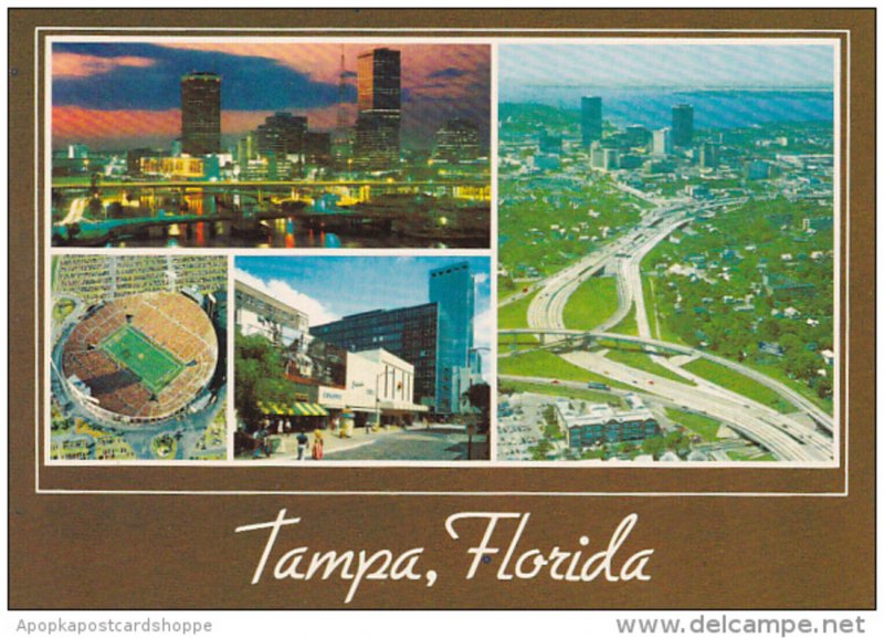 Multi View Tampa Florida