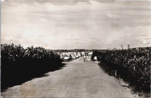 Netherlands The Hague Den Haag Loosduinen Kampeerterrein Ockenburgh RPPC C175