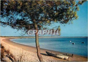 Postcard Modern Cote de Beaute Beach of Bonne Anse Palmyra