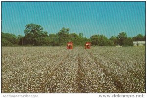 King Cotton Mechanical Picker In The South