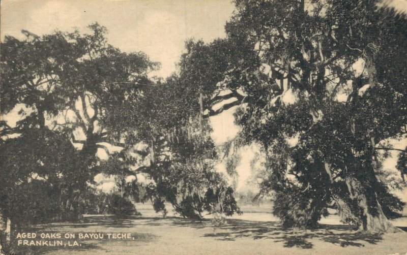 USA Aged Oaks On Bayou Teche Franklin Louisiana 05.12