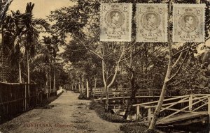 indonesia, BORNEO PONTIANAK, Street Scene (1910s) Postcard