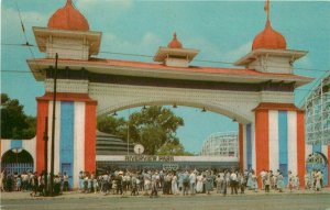 Chicago Illinois Amusement Riverview Main Entrance Teich Postcard 21-11564