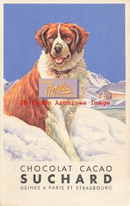 Advertising Postcard, Milka Chocolat Cacao Suchard, Saint Bernard Dog,Poster Art