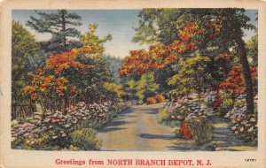 North Branch Depot New Jersey Greetings Linen Vintage Postcard AA61872
