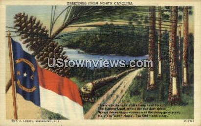 Greetings from, North Carolina, NC, Post Card Greetings from NC Unused