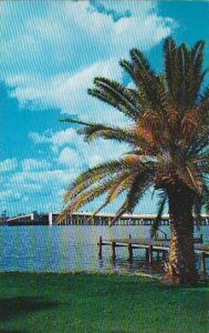 Florida Daytona Beach Memorial Bridge