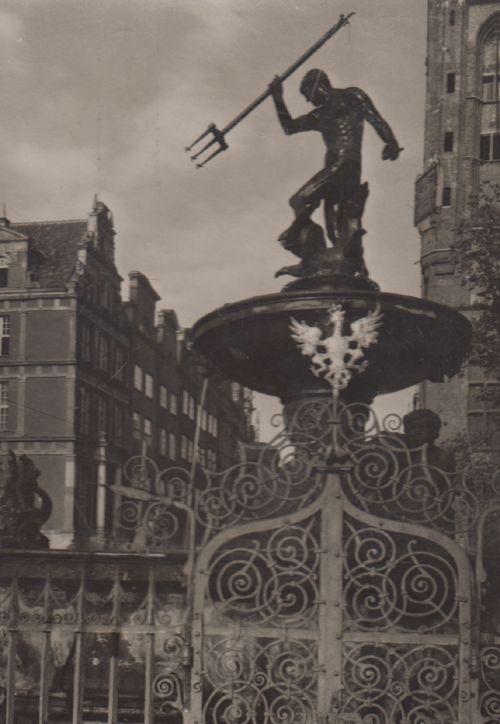 Fountain Of Neptune At Night Poland Polish Real Photo Postcard