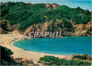 Postcard Modern Sardegna Pittoresca Parco di Portobello