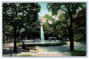 Scenic View Of Fountain Cass Garden Park Detroit Michigan MI Vintage Postcard