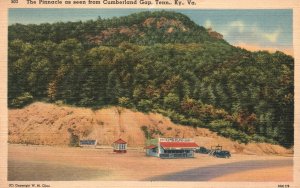 Vintage Postcard 1941 The Pinnacle As Seen From Cumberland Gap Tennessee KY VA