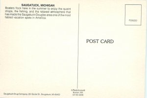 Buy Postcard Aerial Saugatuck Michigan