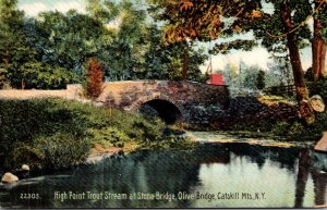New York Catskill Mountains Olive Bridge High Point Trout Stream At Stone Bridge