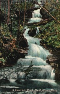 Vintage Postcard A Mountain Brook Scenic Waterfalls North Adams Massachusetts MA