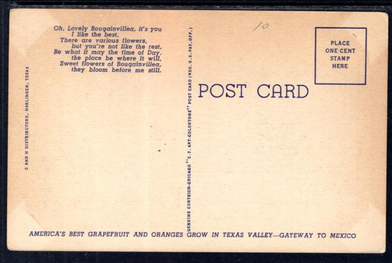 Bougainvillea Trail,Lower Rio Grande Valley,TX BIN