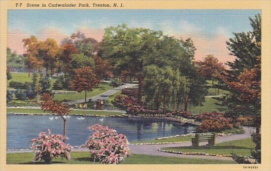 Scene In Cadwalader Park Trenton New Jersey