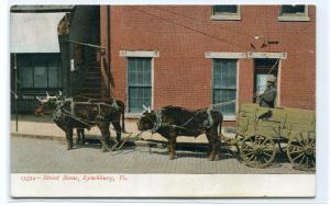 Ox Team Wagon Street Scene Lynchburg Virginia 1910c postcard